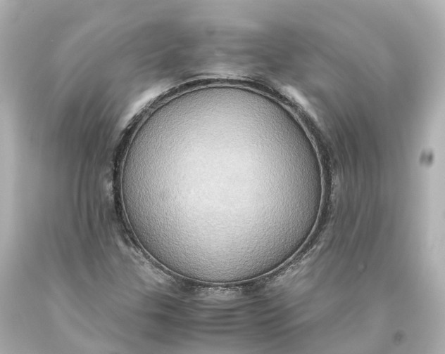 X0000093611307200711051211