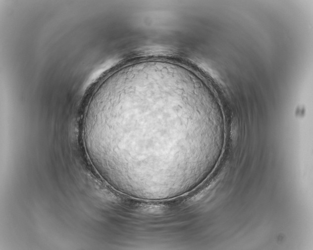 X0000093611309200711051211