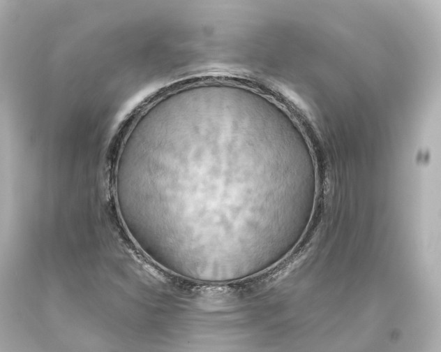X0000093611310200711051211