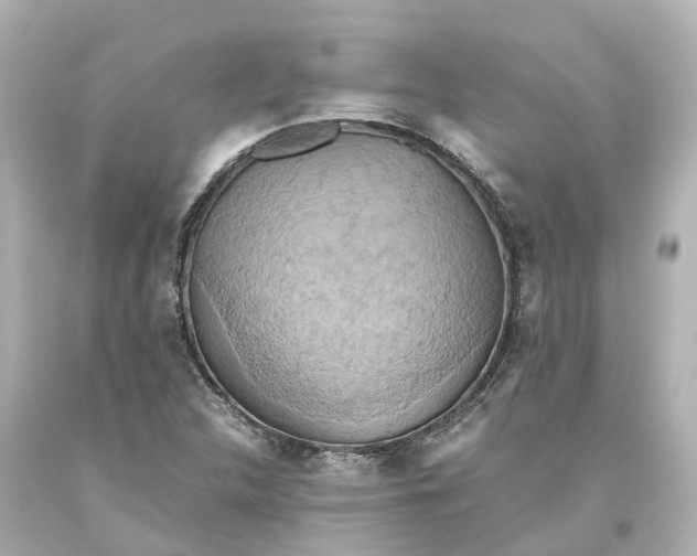 X0000093611312200711051211