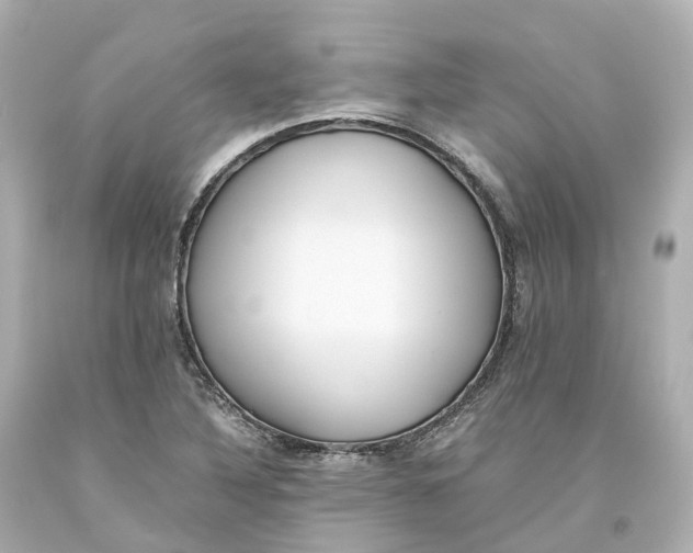 X0000093611316200711051211