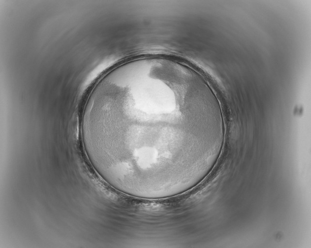 X0000093611317200711051211