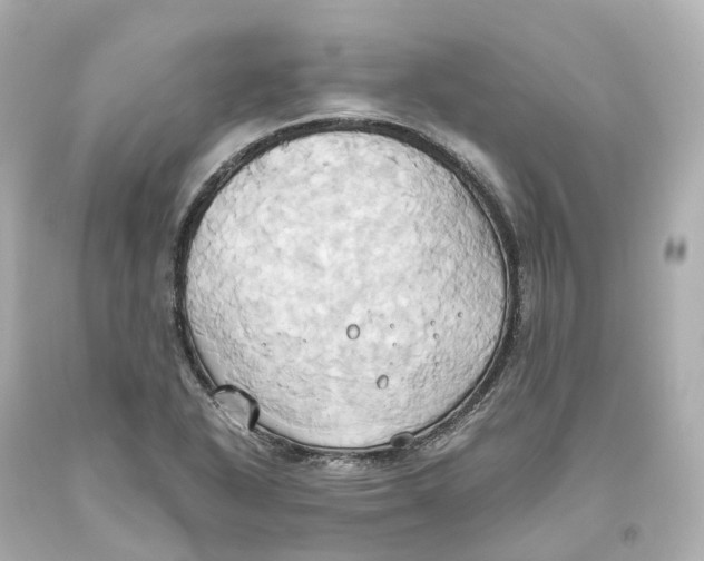 X0000093611318200711051211