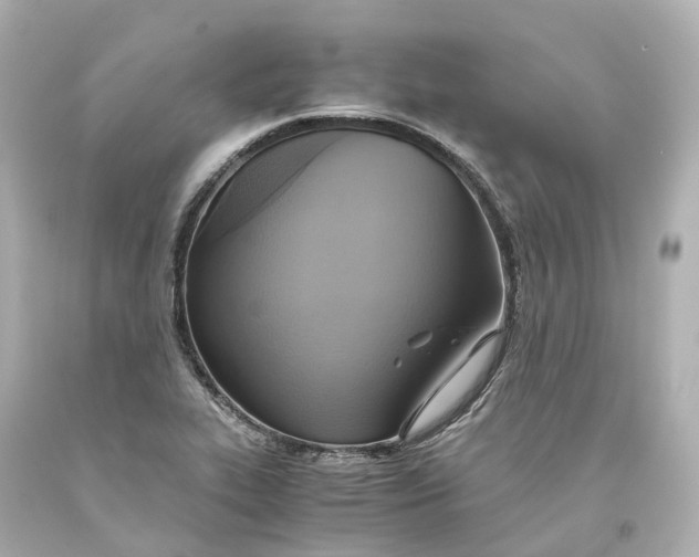 X0000093611319200711051211
