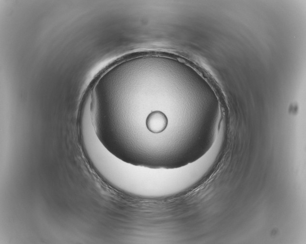 X0000093611320200711051211