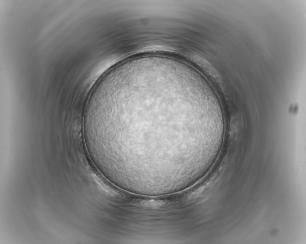X0000093611321200711051211