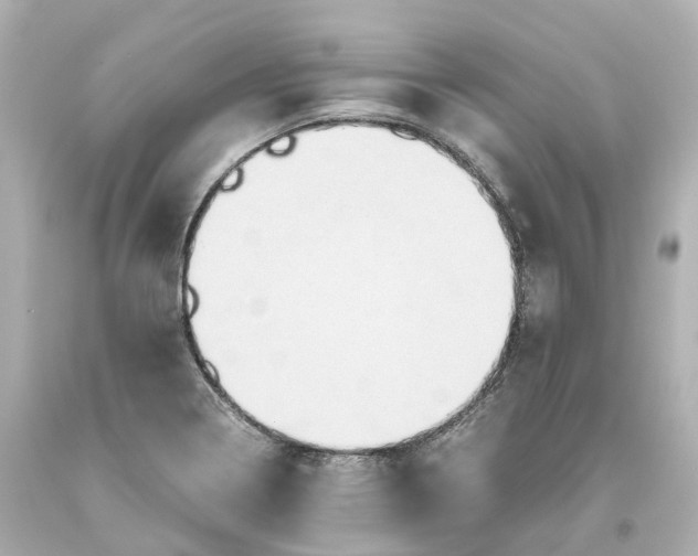 X0000093611322200711051211
