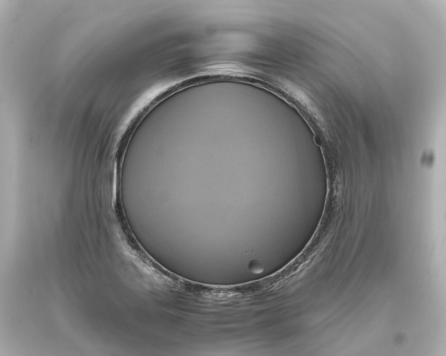 X0000093611323200711051211