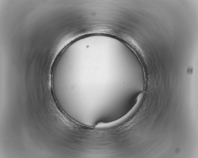 X0000093611324200711051211