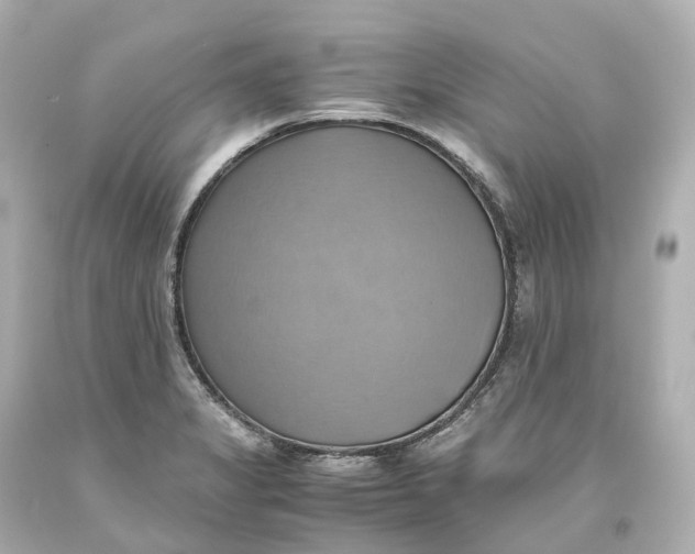 X0000093611325200711051211