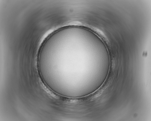 X0000093611326200711051211