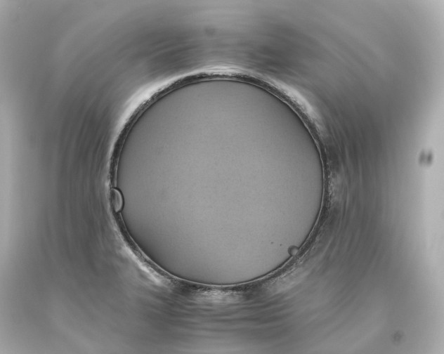 X0000093611327200711051211