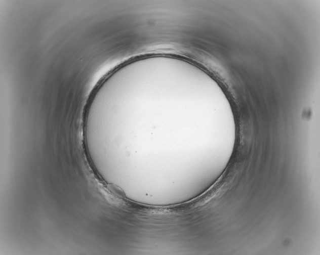 X0000093611328200711051211