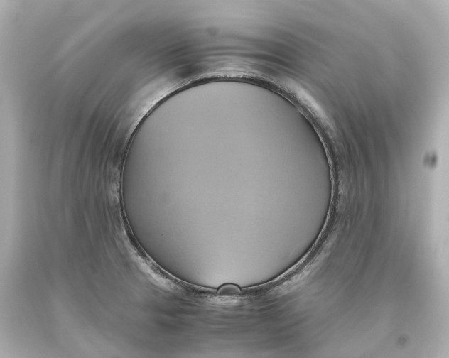 X0000093611329200711051211