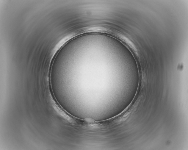 X0000093611330200711051211