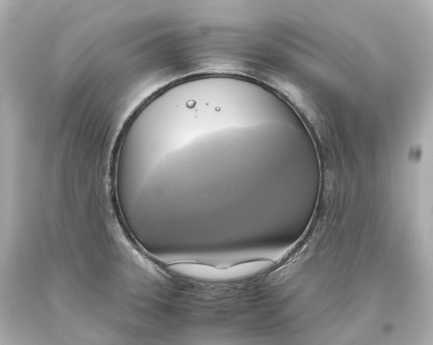 X0000093611331200711051211