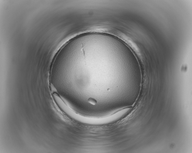 X0000093611332200711051211