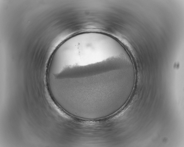 X0000093611333200711051211