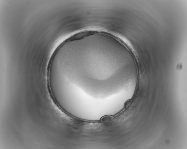 X0000093611335200711051211