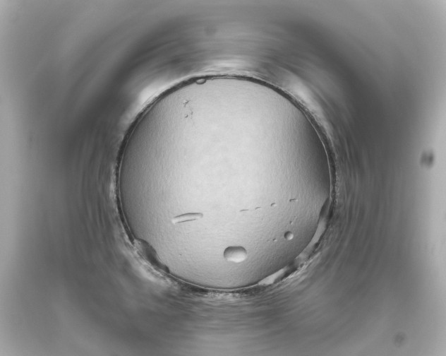 X0000093611336200711051211