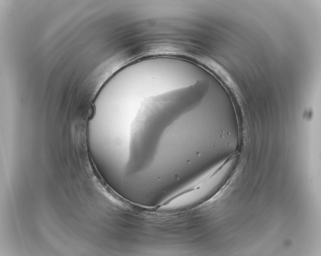 X0000093611337200711051211