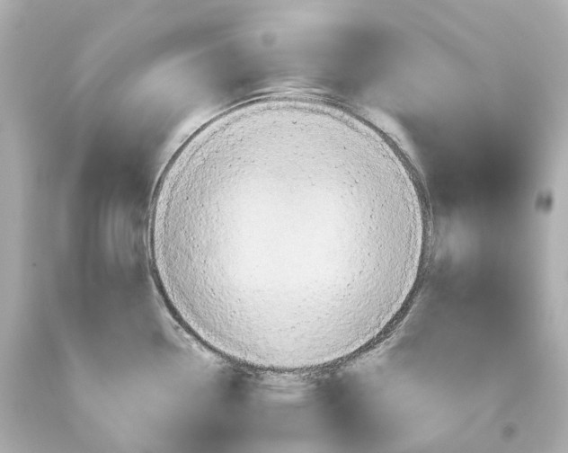 X0000093611338200711051211
