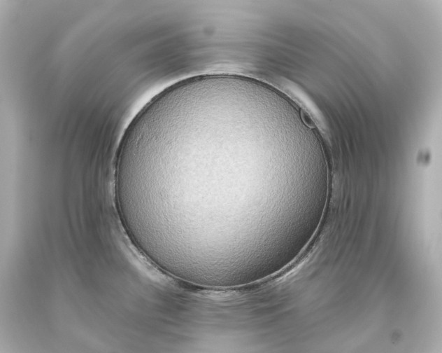X0000093611340200711051211