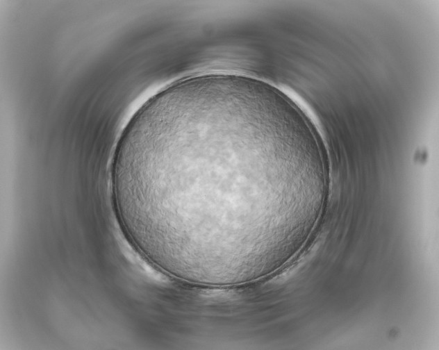 X0000093611341200711051211