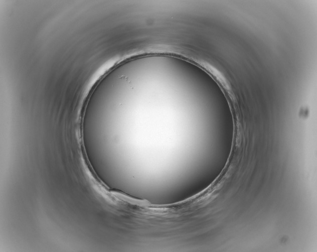 X0000093611342200711051211