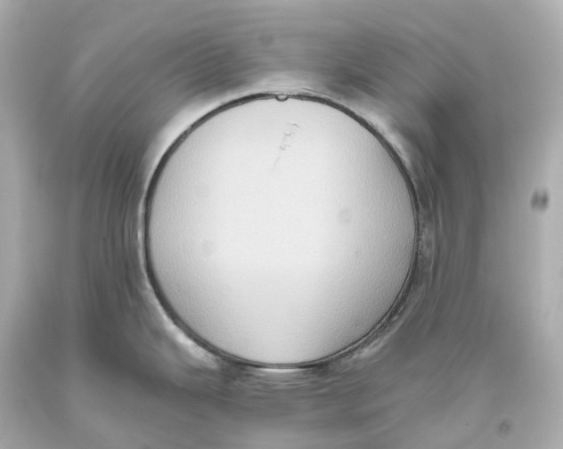 X0000093611343200711051211