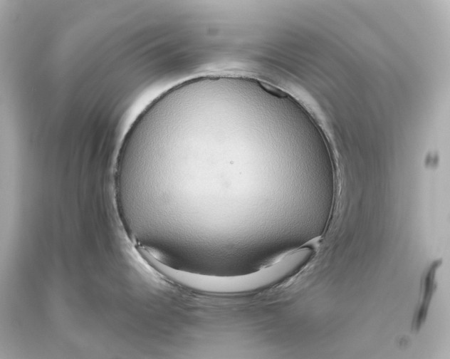 X0000093611344200711051211