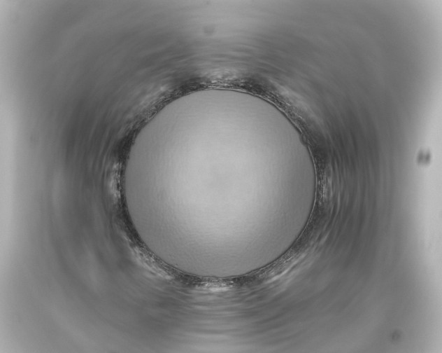 X0000093611346200711051211