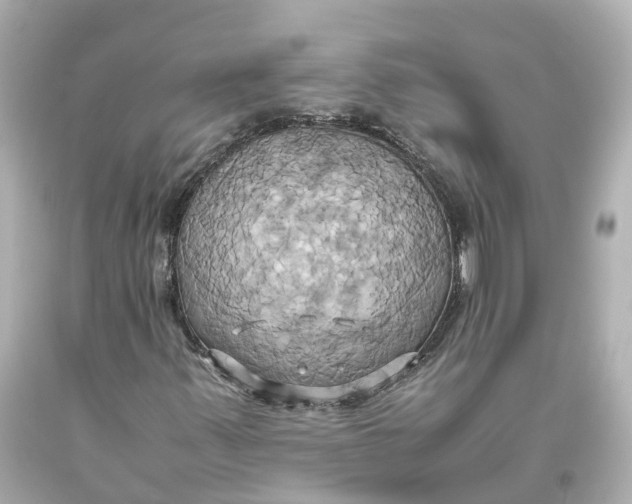 X0000093611347200711051211