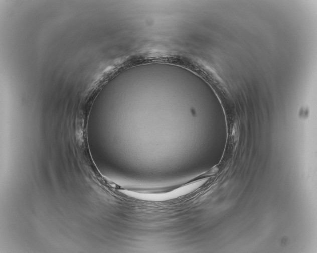 X0000093611348200711051211