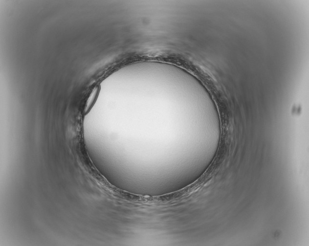 X0000093611349200711051211
