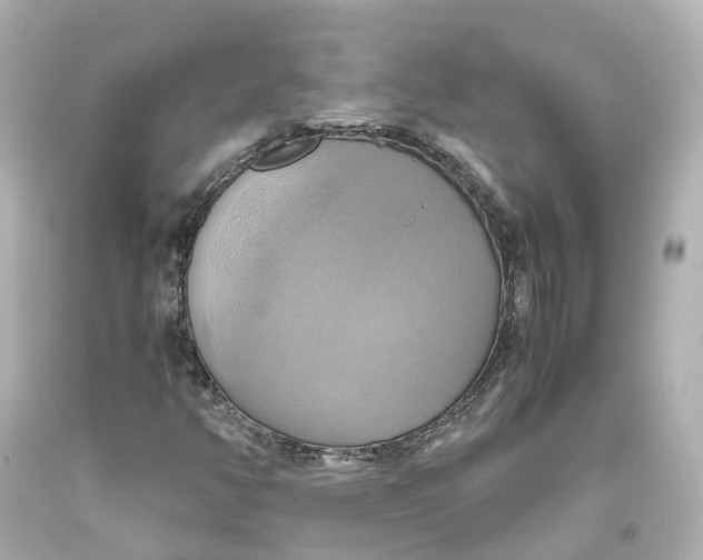 X0000093611350200711051211