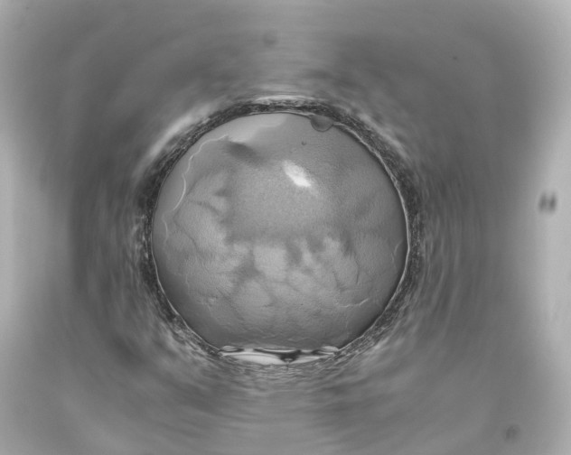 X0000093611351200711051211