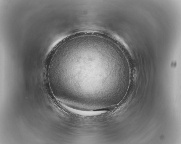 X0000093611352200711051210