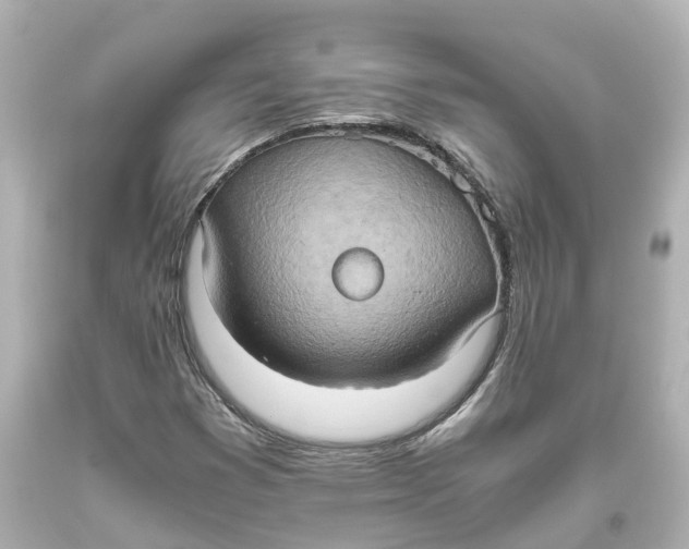 X0000093611353200711051210