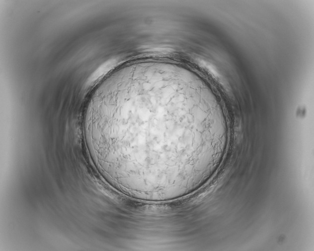 X0000093611354200711051210