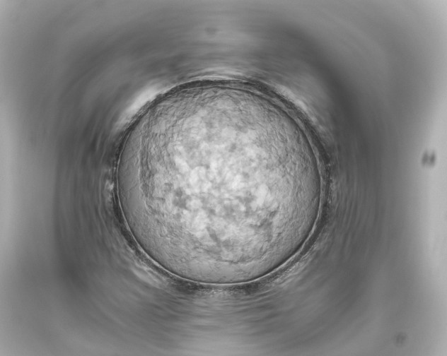 X0000093611355200711051210