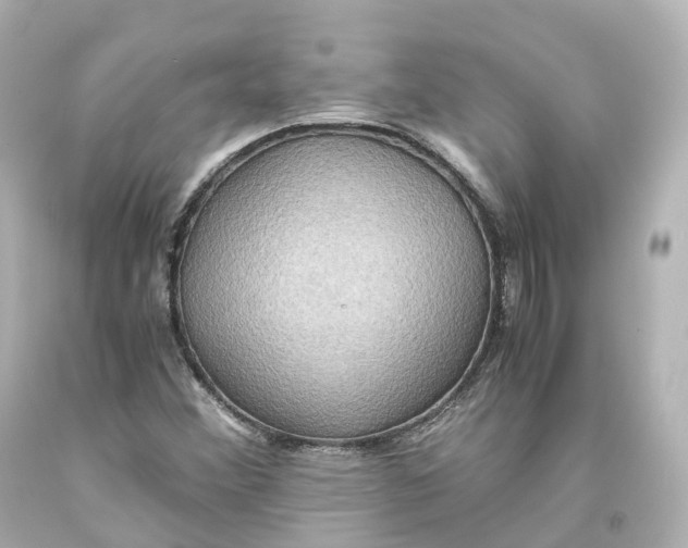 X0000093611356200711051210