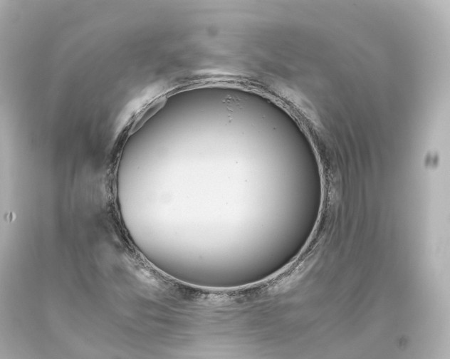 X0000093611357200711051210