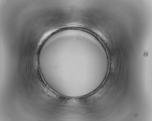 X0000093611358200711051210