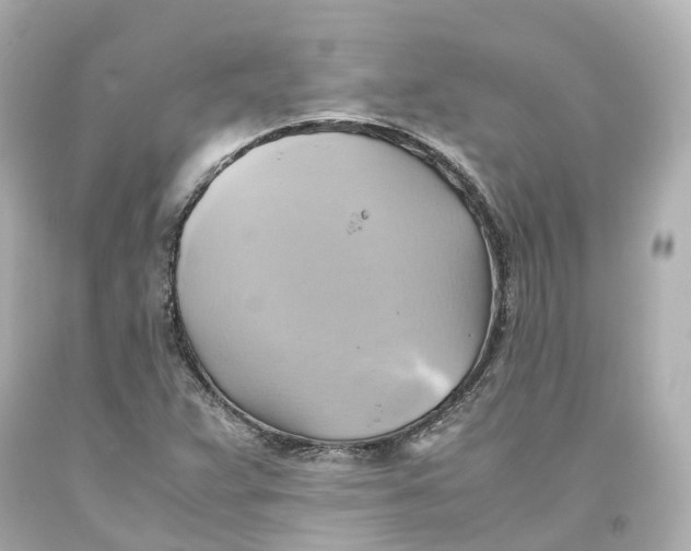 X0000093611359200711051210