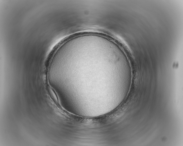 X0000093611360200711051210