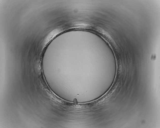 X0000093611362200711051210
