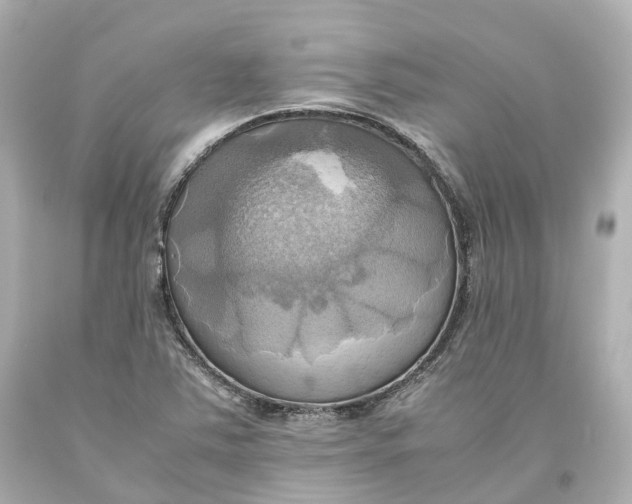 X0000093611363200711051210