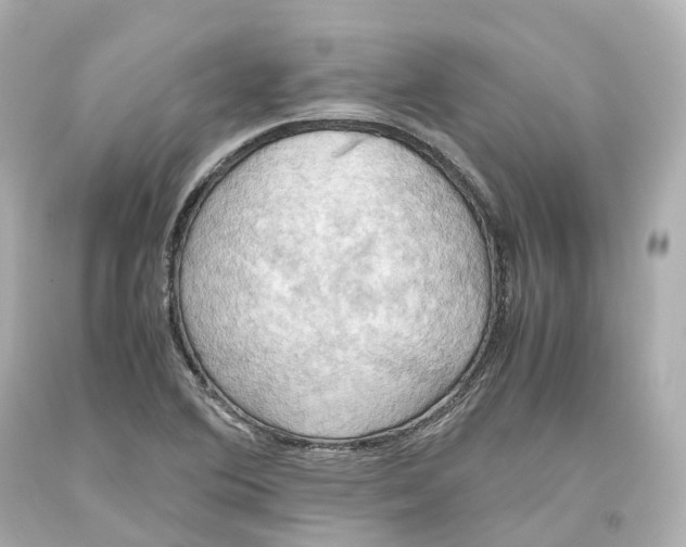 X0000093611364200711051210