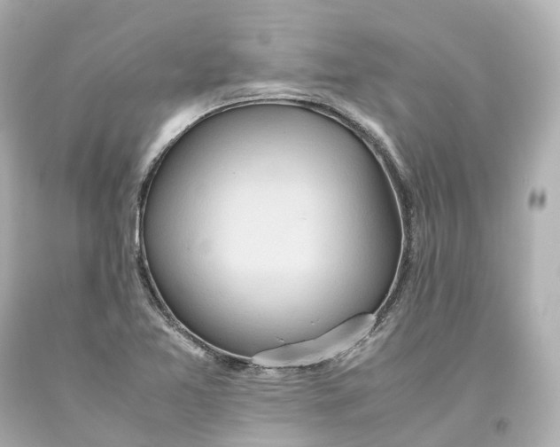 X0000093611365200711051210